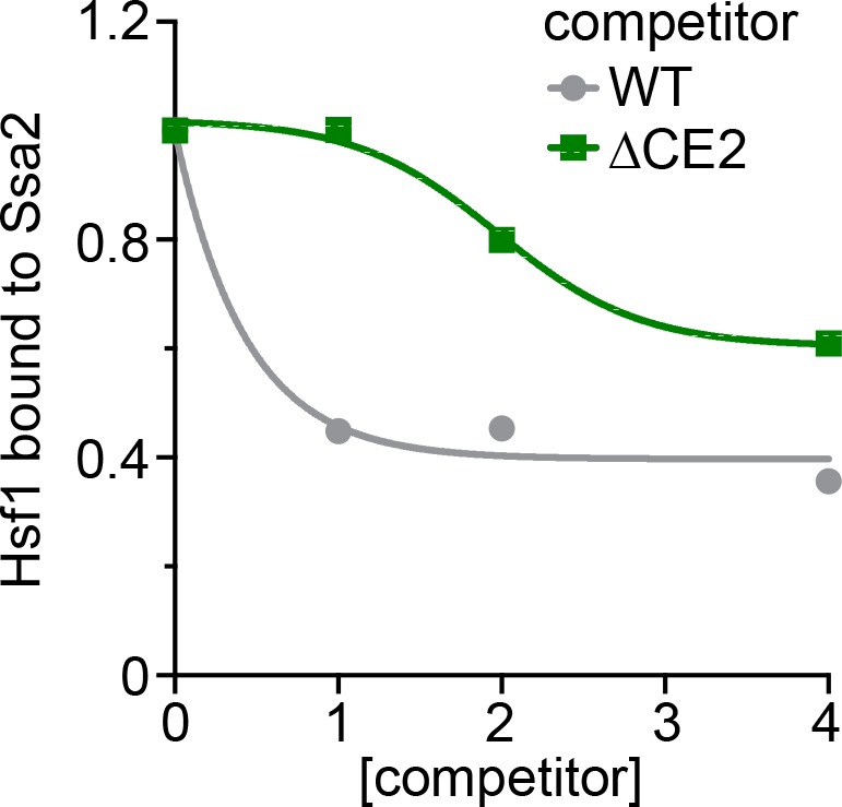 Figure 4—figure supplement 1.