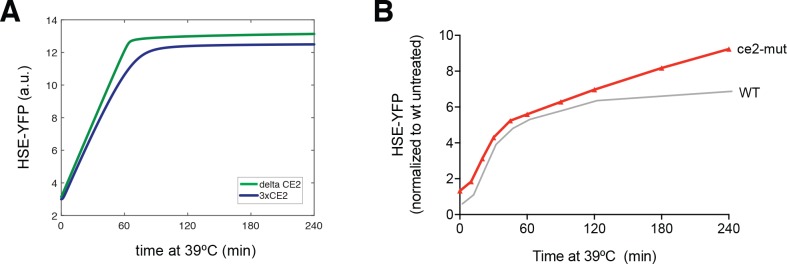 Figure 6—figure supplement 1.