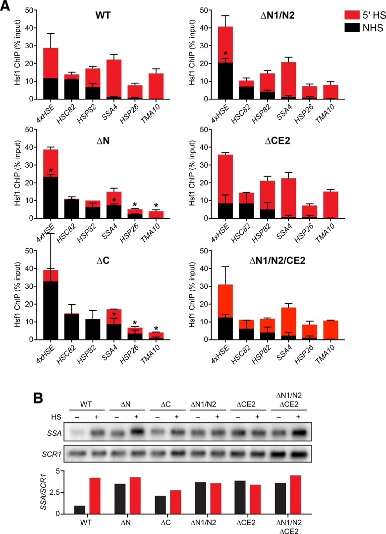 Figure 3—figure supplement 1.