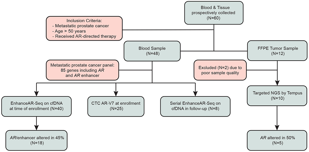 Fig 1.