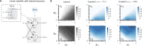 Competitive binding enables complex decision boundaries with a minimal set of reactions.
