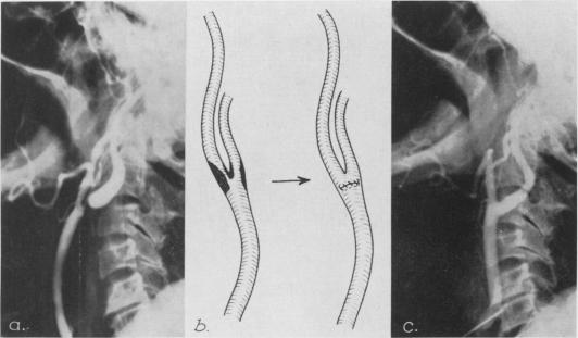 Fig. 9.