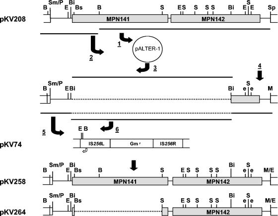 FIG. 5.