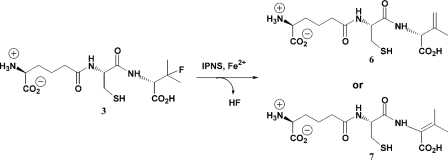 Scheme 3