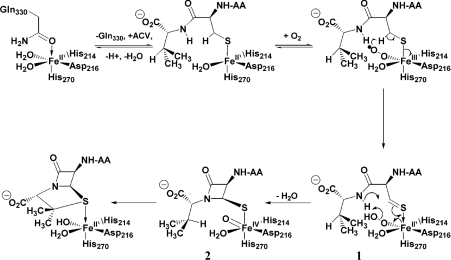 Scheme 1