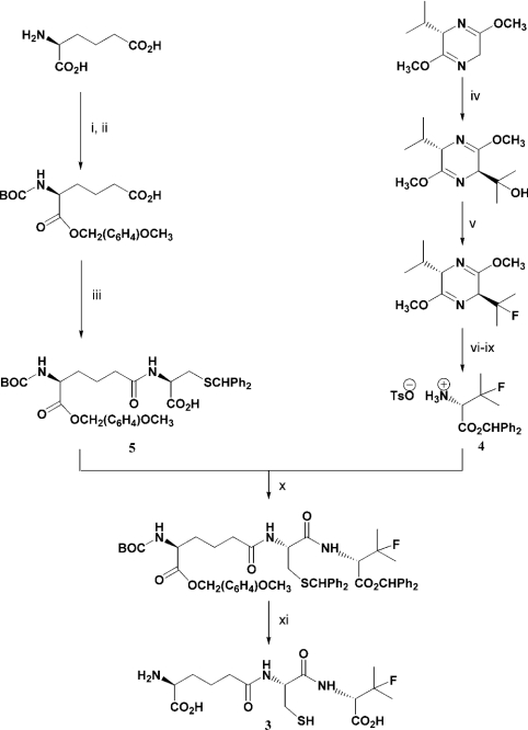 Scheme 2