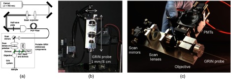 Fig. 1