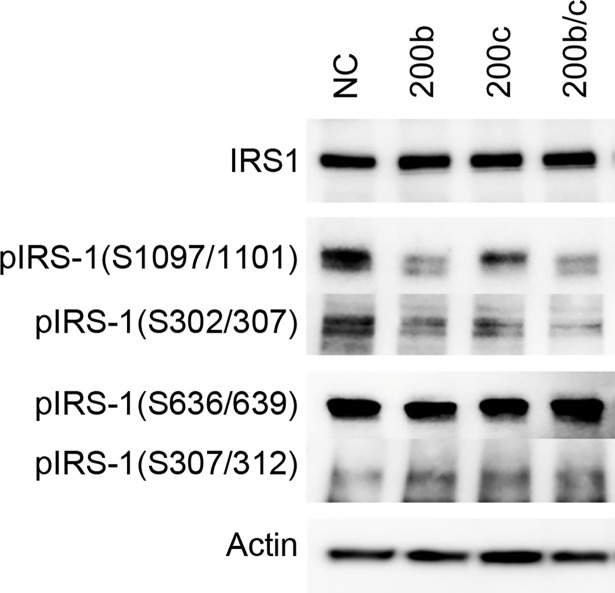 Fig 5