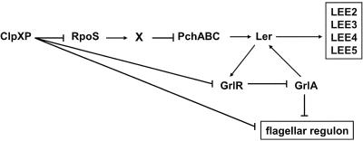 FIG. 5.