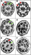 <i>Figure 2.</i>