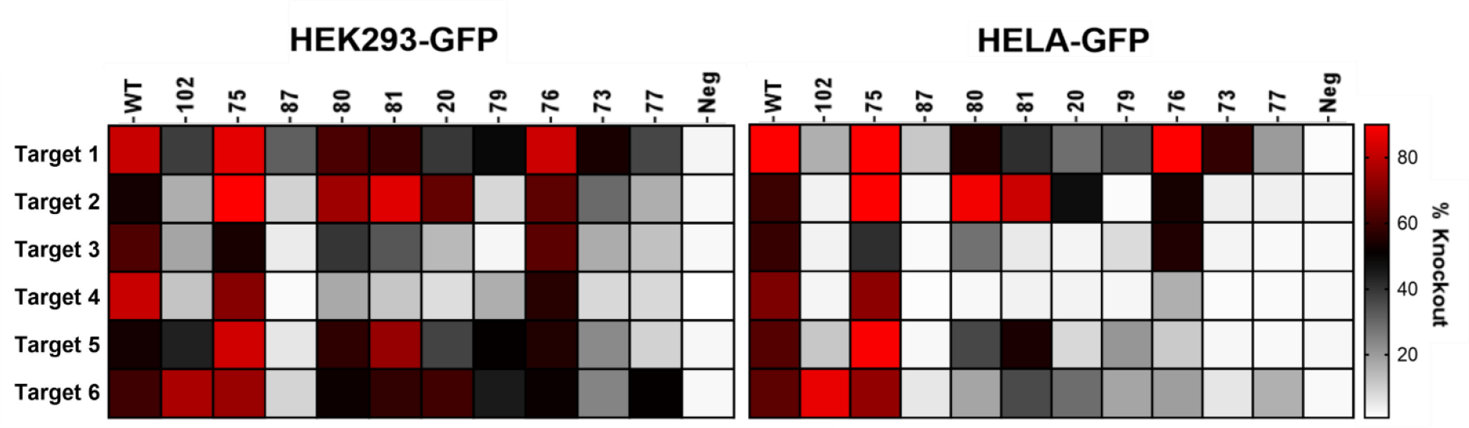 Figure 7.