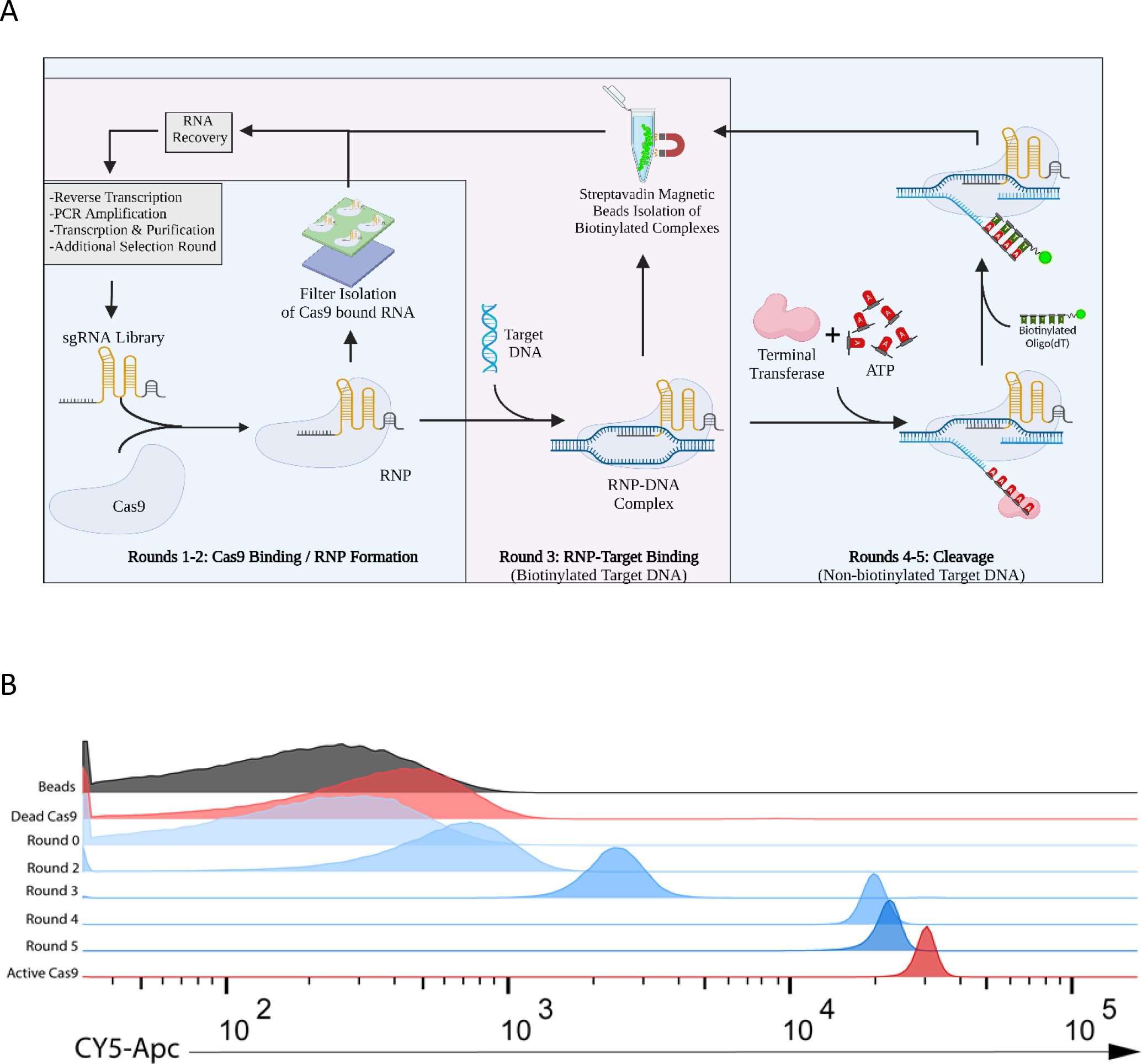 Figure 3.