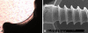 Fig. 4A–B