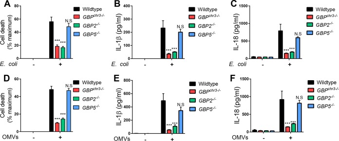 FIG 3 