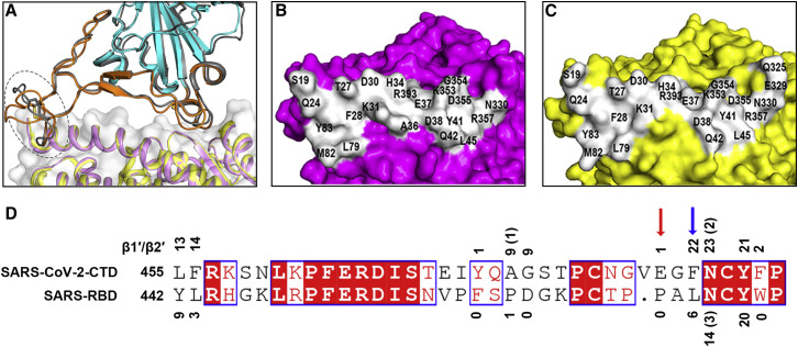 Figure 3