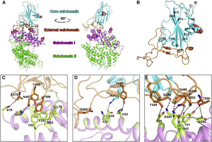 Figure 2