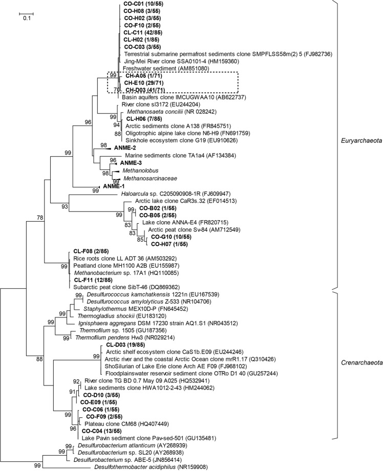 Fig. 5