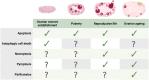 Graphical Abstract