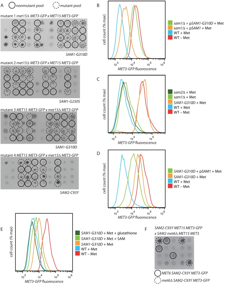 FIGURE 3: