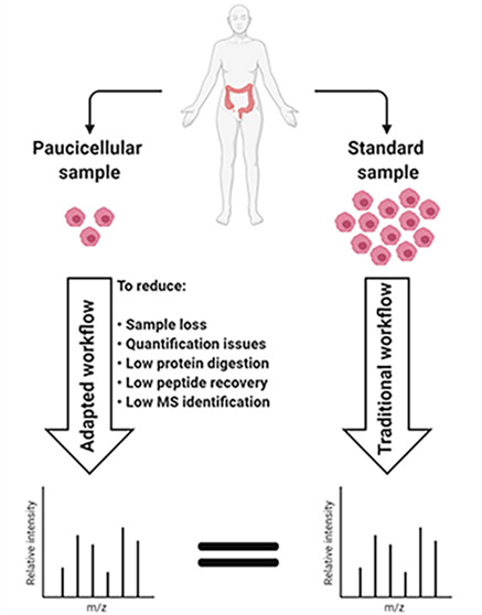 graphic file with name pr1c00321_0003.jpg