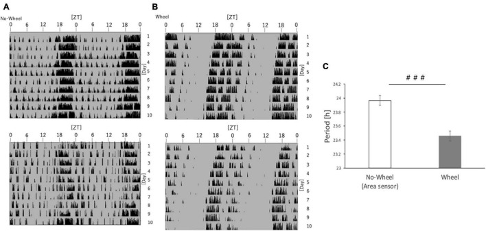 FIGURE 7