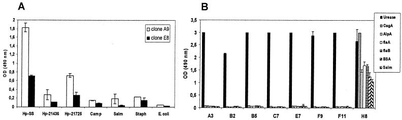 FIG. 5.