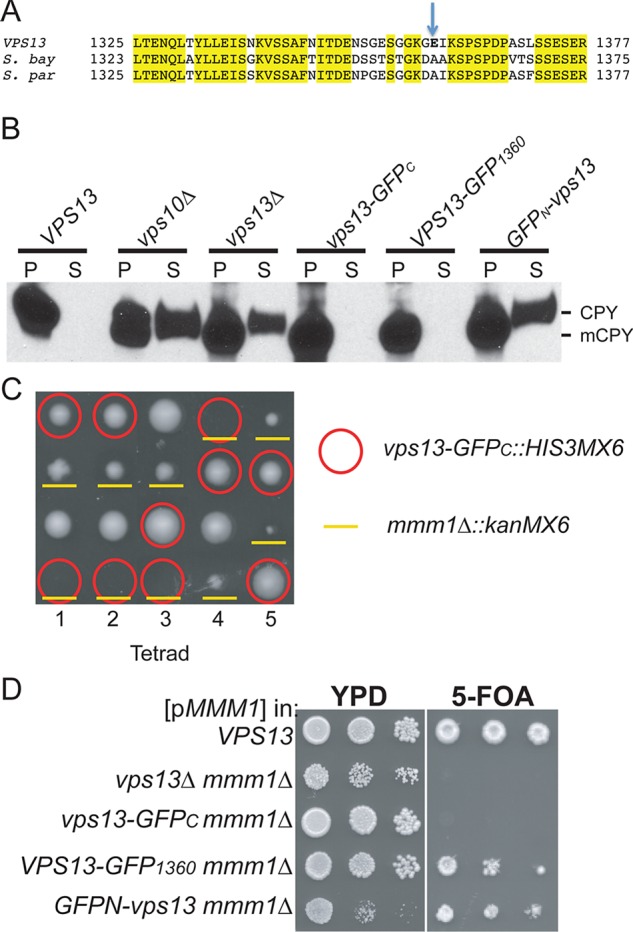 FIGURE 3: