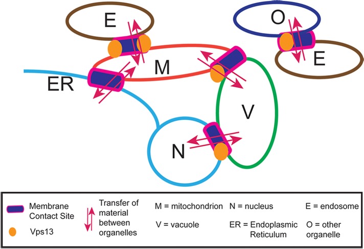 FIGURE 9: