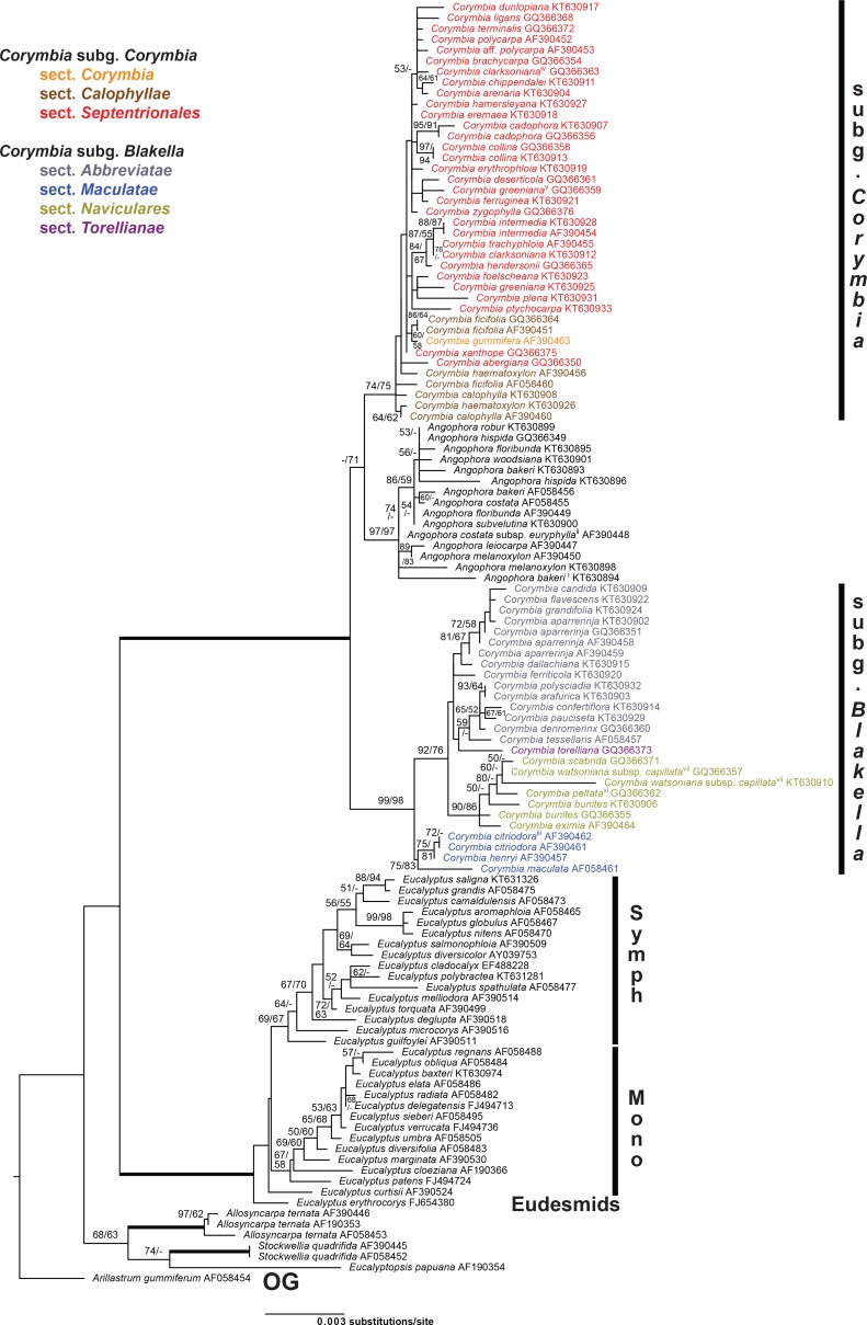 Fig 6