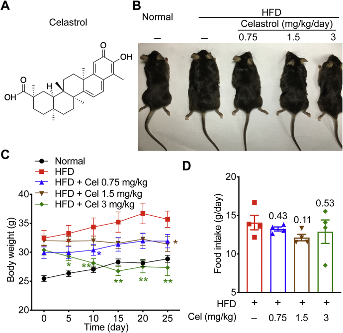 Figure 1