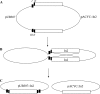 FIG. 2.