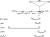 FIG. 4.