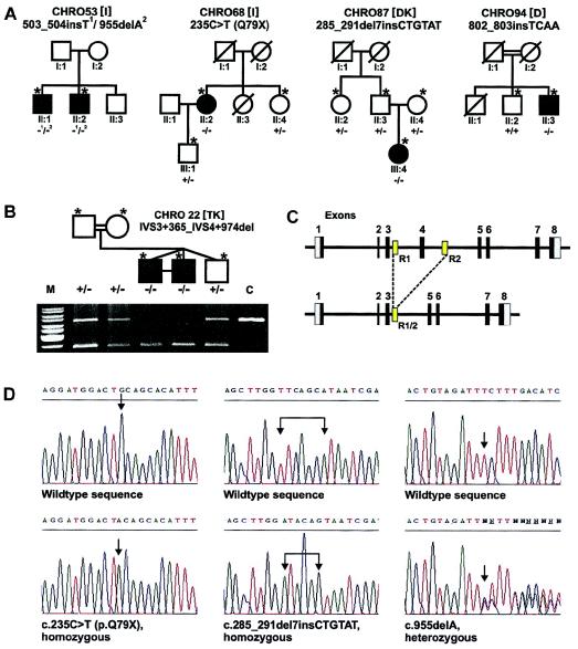 Figure  1