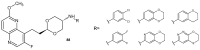 Figure 61