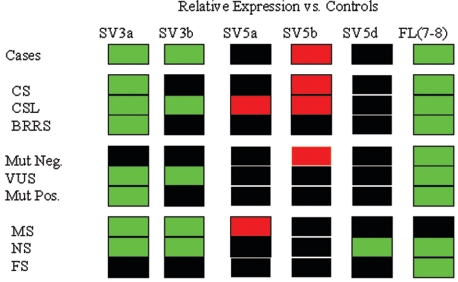 Figure  4. 