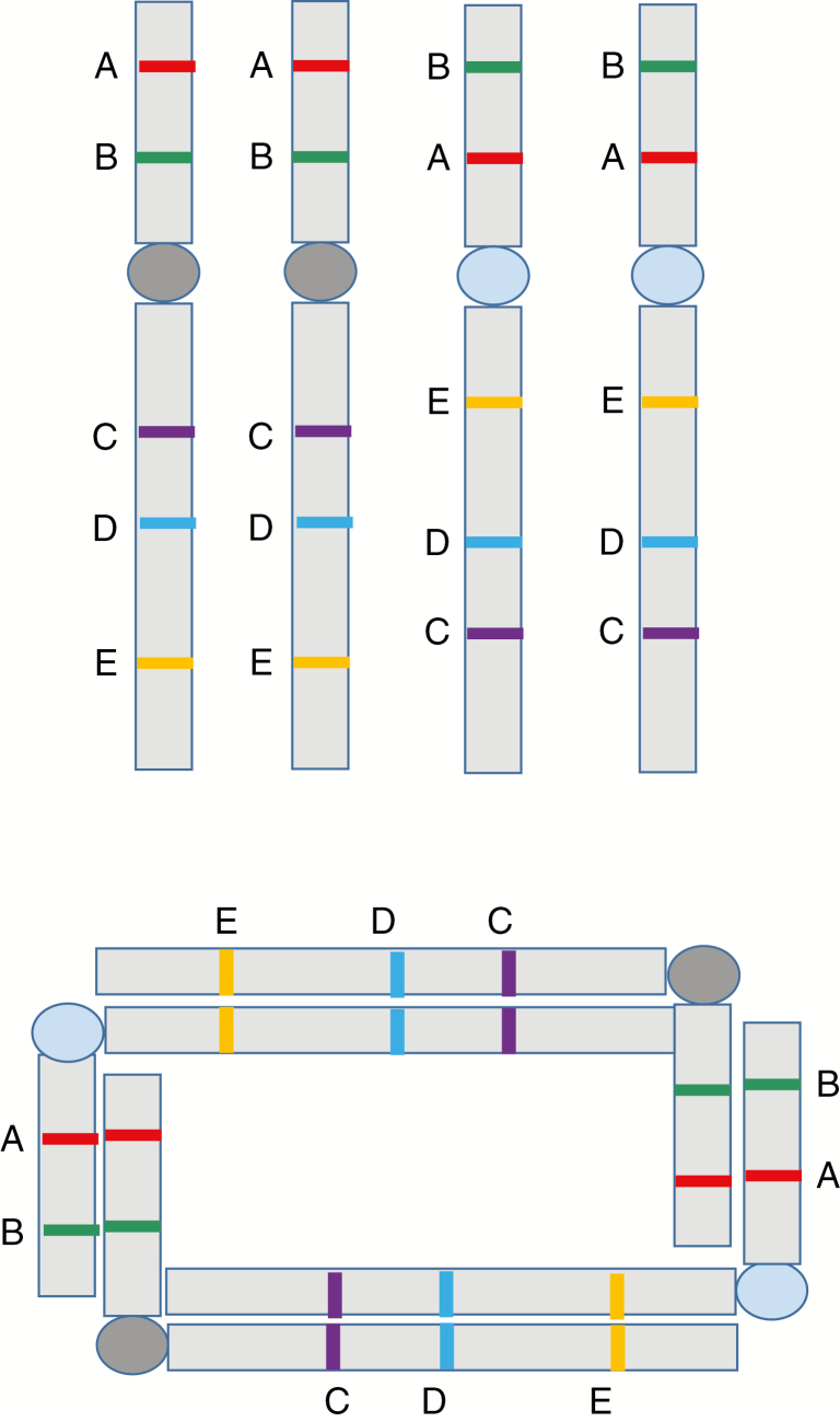 Fig. 6.