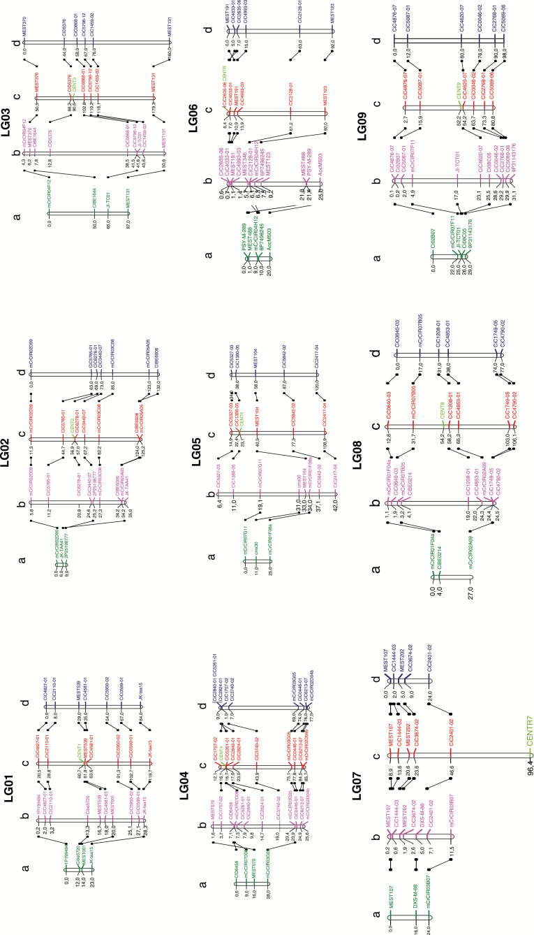 Fig. 5.