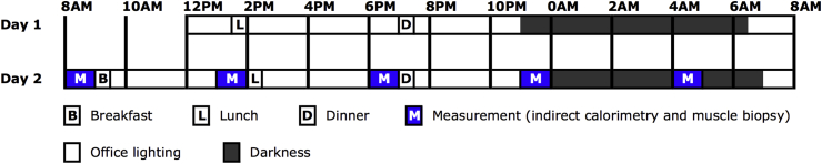 Figure 1