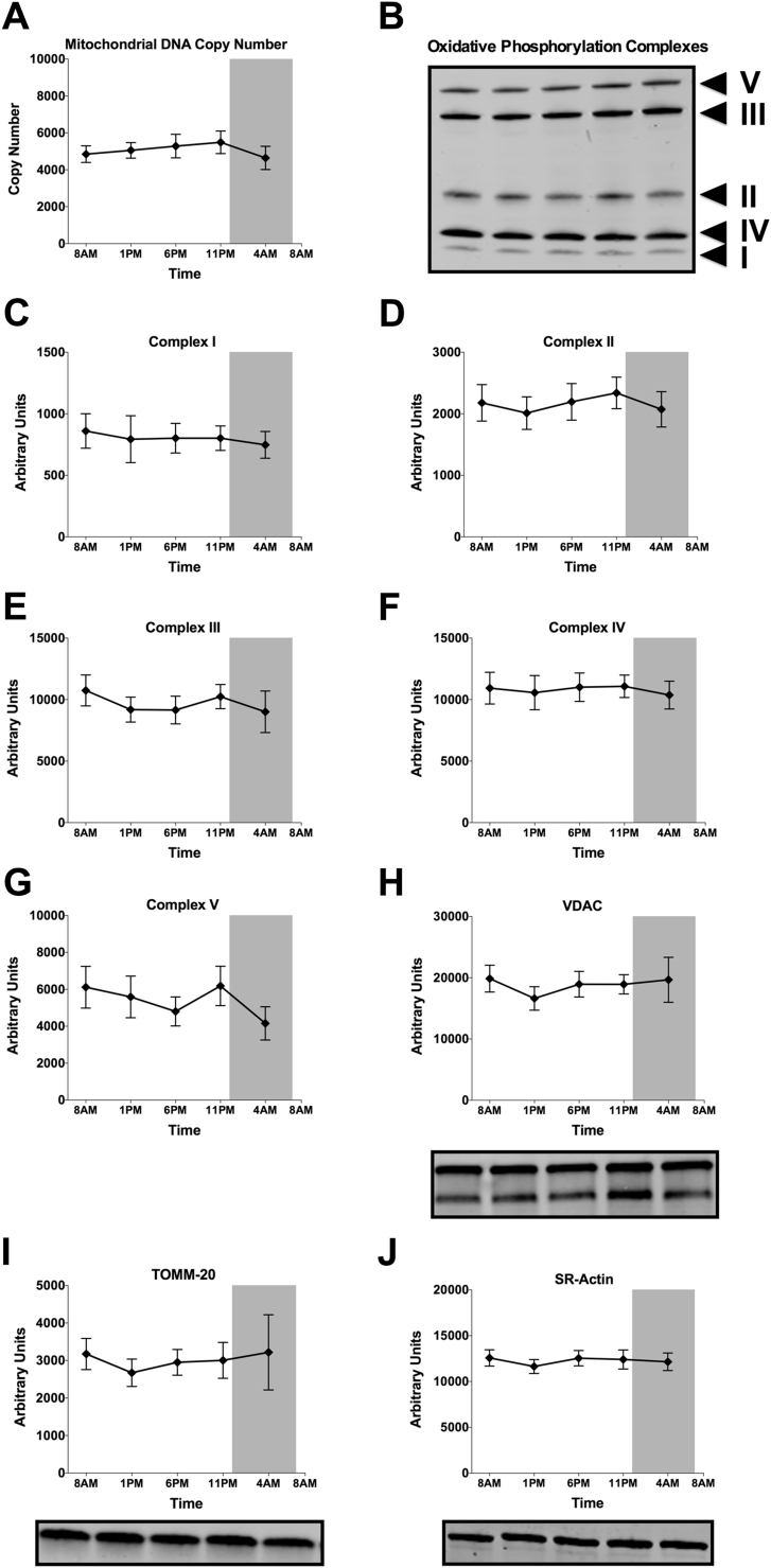 Figure 5