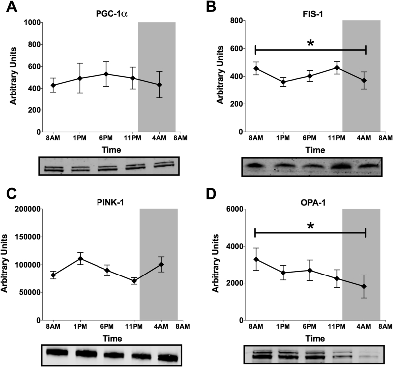 Figure 6