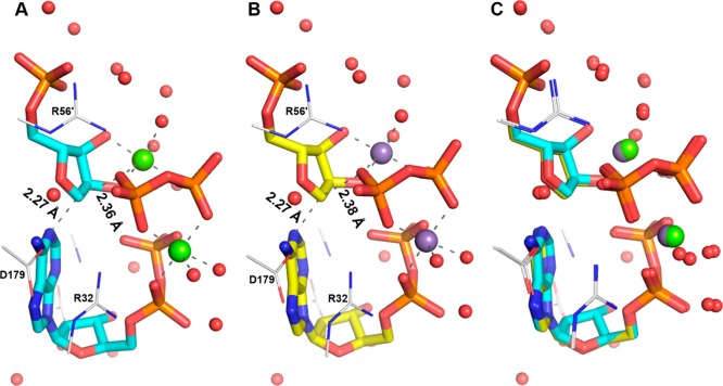 Figure 6