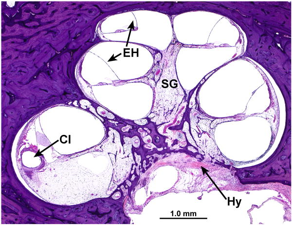 FIG. 9