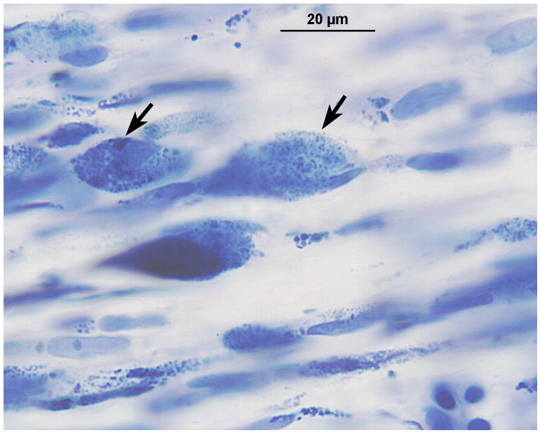 FIG. 8