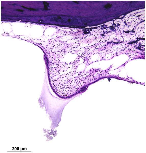 FIG. 7