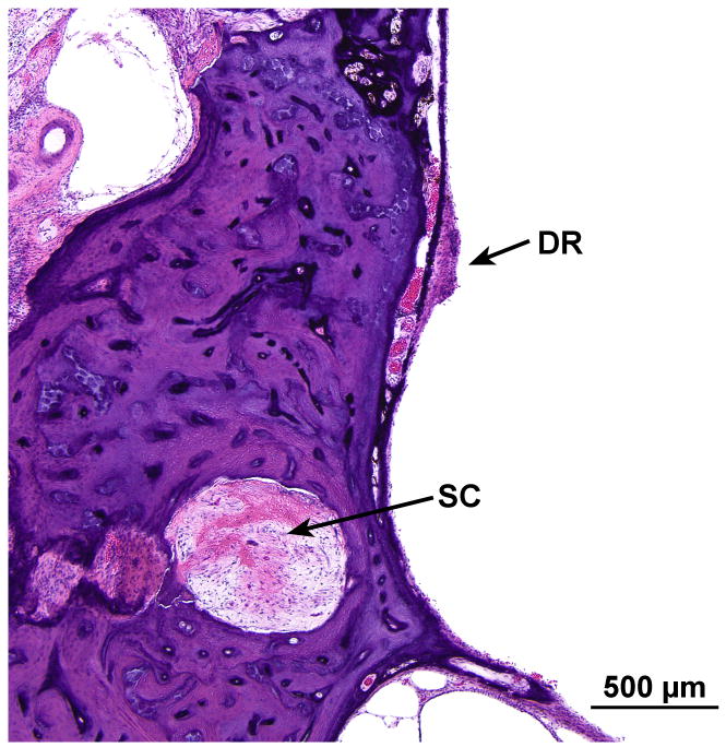 FIG. 10