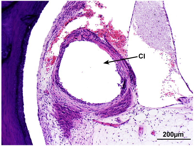 FIG. 9