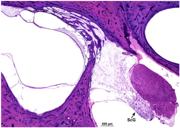 FIG. 8