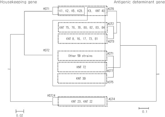 Figure 2