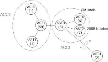 Figure 3