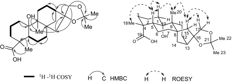 Fig. 4